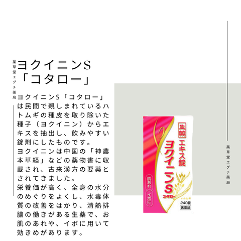 ヨクイニンS「コタロー」